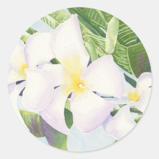 Frangipani Round Stickers