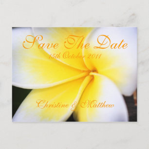 Frangipani -  Save The Date Announcement Postcard