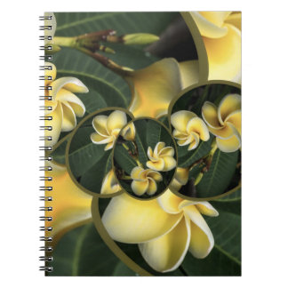 Frangipani Tropical Design 80 page note book