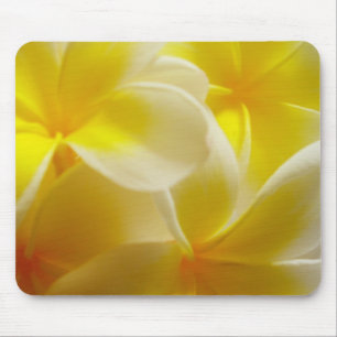 Frangipanis Mouse Mat
