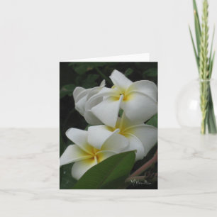 Frangipanis Note Cards