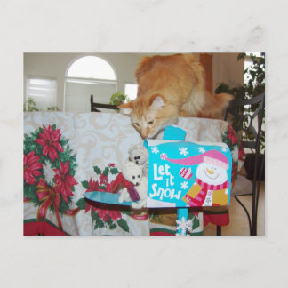 Frank&Leo: He is here! Santa? No, the cat! Holiday Postcard
