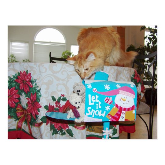 Frank&Leo: He is here! Santa? No, the cat! Postcard