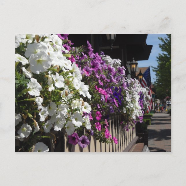 Frankenmuth, Michigan Postcard (Front)