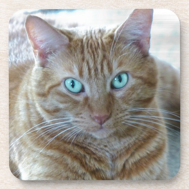 Frankie Coaster (Front)
