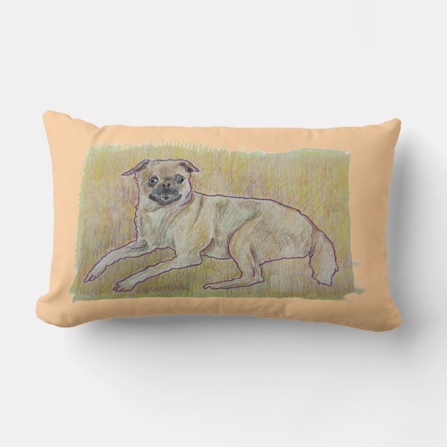 Frankie Pillow (Front)