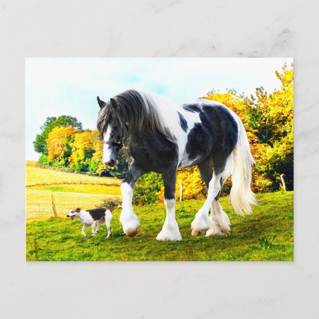 "Frankie & Tessa" Postcard (Front)