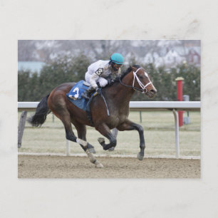 Frankienjymme Postcard