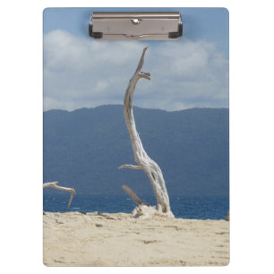 Frankland Islands - Australia Clipboard