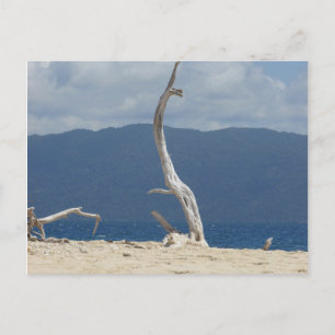 Frankland Islands - Australia Postcard