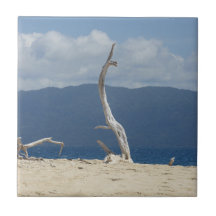 Frankland Islands Ceramic Tile