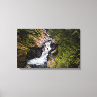 Franklin Falls  Canvas Print