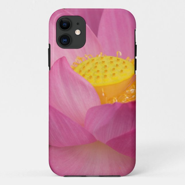 Franklin NC, Perry's Water Garden, Lotus 2 Case-Mate iPhone Case (Back)