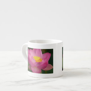 Franklin NC, Perry's Water Garden, Lotus 2 Espresso Cup