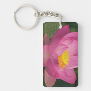 Franklin NC, Perry's Water Garden, Lotus 2 Key Ring