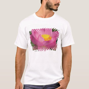 Franklin NC, Perry's Water Garden, Lotus 2 T-Shirt