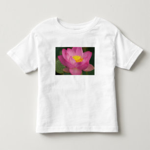 Franklin NC, Perry's Water Garden, Lotus 2 Toddler T-Shirt