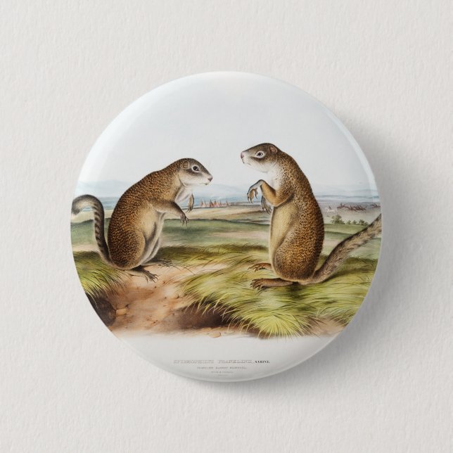 Franklin's Marmot Squirrel Camping Gear Deco Gifts 6 Cm Round Badge (Front)
