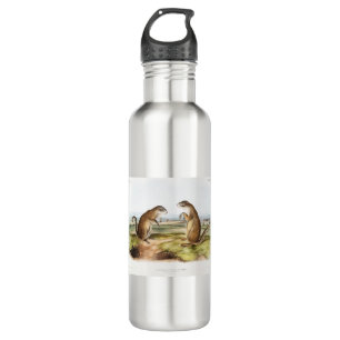 Franklin's Marmot Squirrel Camping Gear Deco Gifts 710 Ml Water Bottle