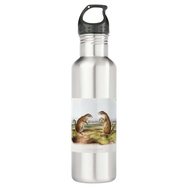 Franklin's Marmot Squirrel Camping Gear Deco Gifts 710 Ml Water Bottle (Front)