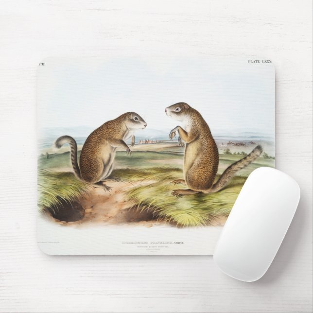 Franklin's Marmot Squirrel Camping Gear Deco Gifts Mouse Mat (With Mouse)
