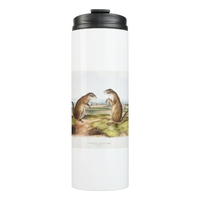 Franklin's Marmot Squirrel Camping Gear Deco Gifts Thermal Tumbler (Front)