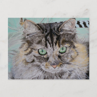 Franny the Cat Postcard