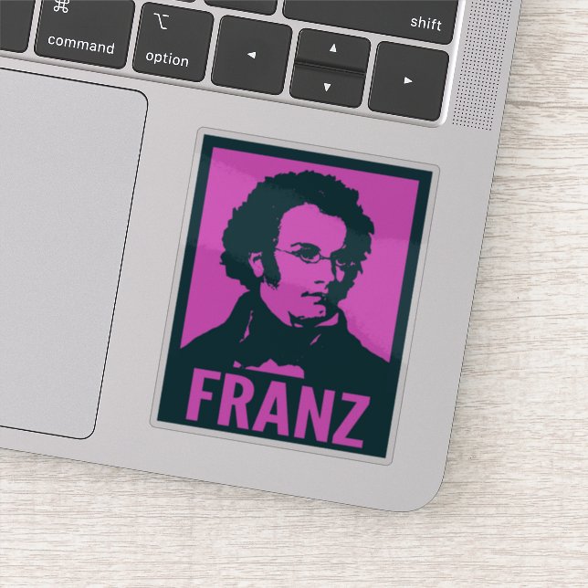Franz Schubert Pop Art Portrait Custom Cut Vinyl (Detail)