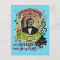 Franz Schubird Funny Bird Animal Composer Schubert