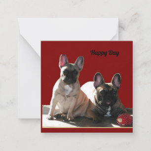 Französische Buldoggen Flo und Fips    Card