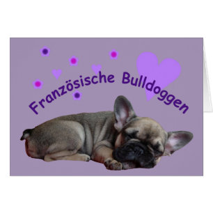 Französische Bulldogge