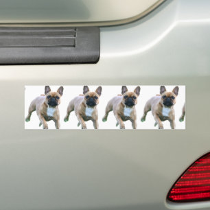 Französische Bulldogge Autoaufkleber Bumper Sticker
