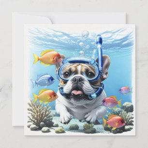 Französische Bulldogge beim Schnorcheln