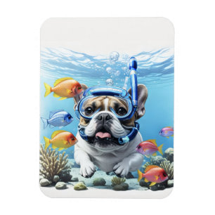 Französische Bulldogge beim Schnorcheln Magnet