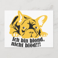 Französische Bulldogge: Blonde!