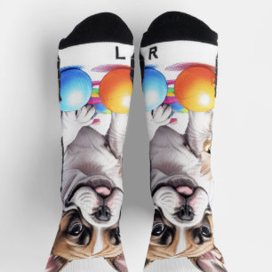 Französische Bulldogge French Bulldog mit Katze Socks
