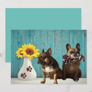 französische Bulldogge Grusskarte  Holiday Card