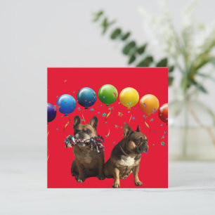französische Bulldogge Grusskarte  Invitation