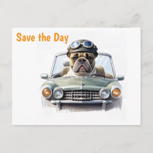 Französische Bulldogge im Oldtimer Invitation Postcard