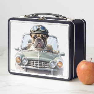 Französische Bulldogge im Oldtimer Metal Lunch Box