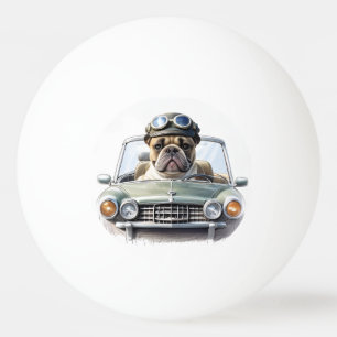Französische Bulldogge im Oldtimer Ping Pong Ball