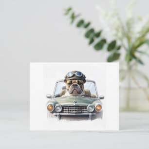   Französische Bulldogge im Oldtimer  Postcard