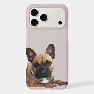 Französische Bulldogge iPhone 11 Pro Max Hülle