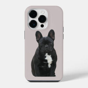 Französische Bulldogge iPhone 14 Pro  Case Mate 