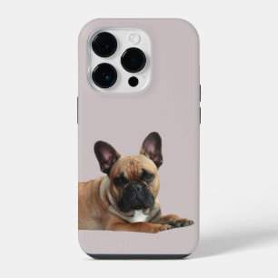 Französische Bulldogge iPhone 14 Pro  Case Mate 