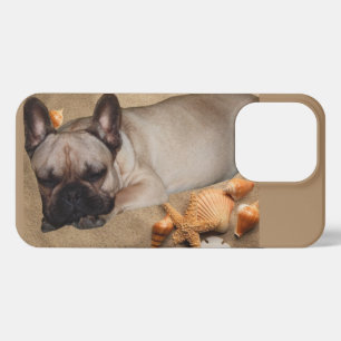 Französische. Bulldogge  iPhone 13 Pro Case