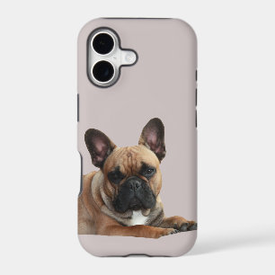 Französische Bulldogge iPhone XS Case Mate