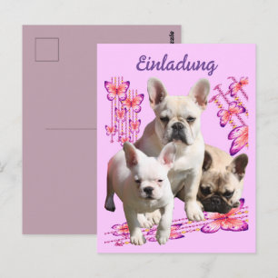 Französische Bulldogge mit drei Bulldoggen Postcard