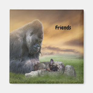 Französische Bulldogge mit Freund Magnet