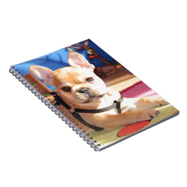 Französische Bulldogge Notizbuch Notebook (Right Side)